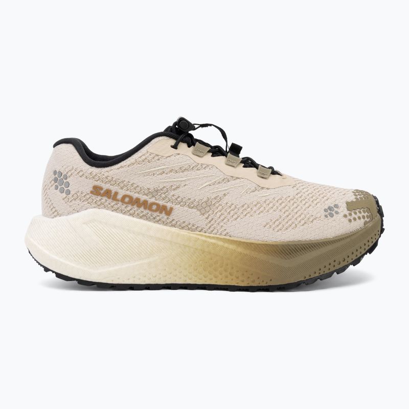 Кросівки для бігу жіночі Salomon Aero Blaze 4 GRVL tapioca/vanilla ice 2