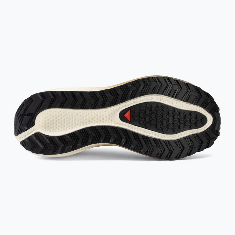 Кросівки для бігу жіночі Salomon Aero Blaze 4 GRVL tapioca/vanilla ice 4