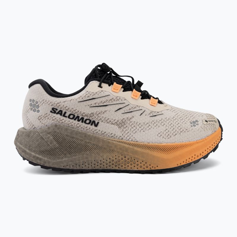 Кросівки для бігу жіночі Salomon Aero Blaze 4 GRVL GTX rainy day/black 2