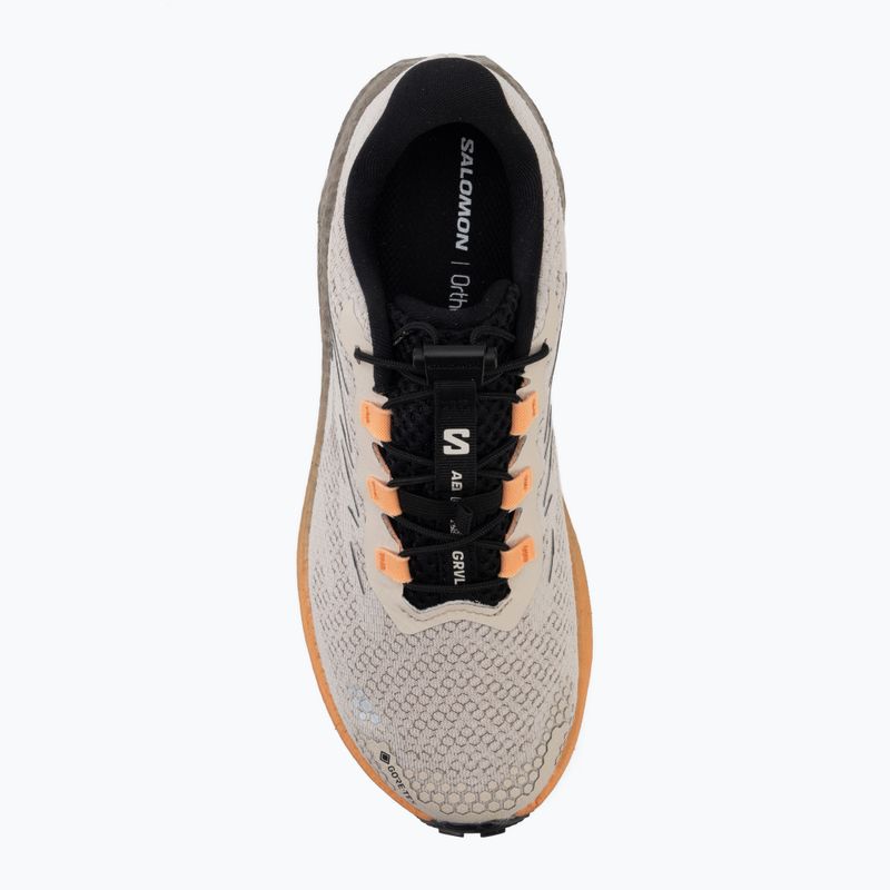 Кросівки для бігу жіночі Salomon Aero Blaze 4 GRVL GTX rainy day/black 5