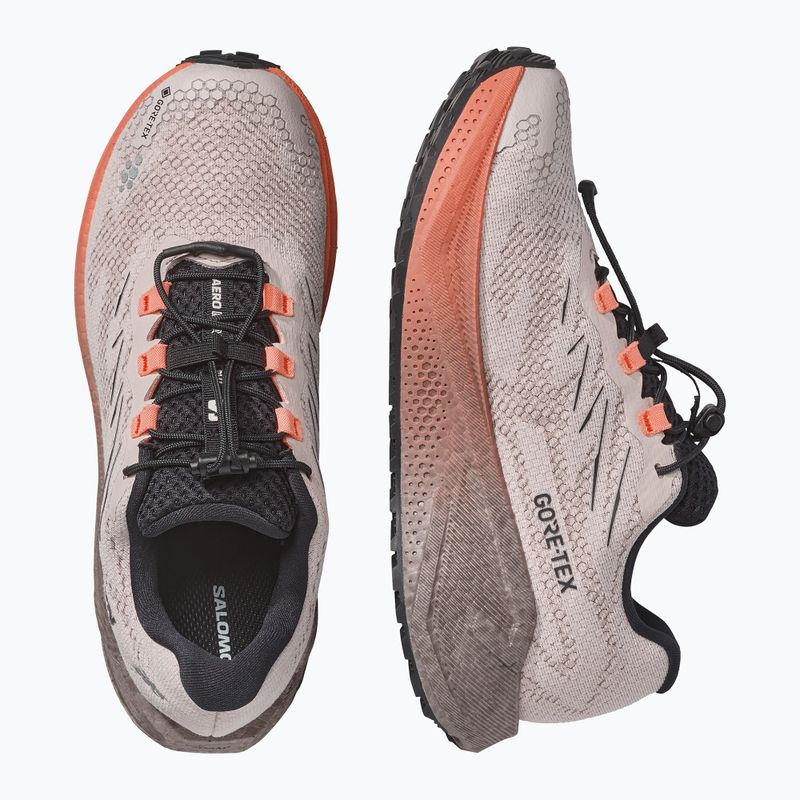 Кросівки для бігу жіночі Salomon Aero Blaze 4 GRVL GTX rainy day/black 3