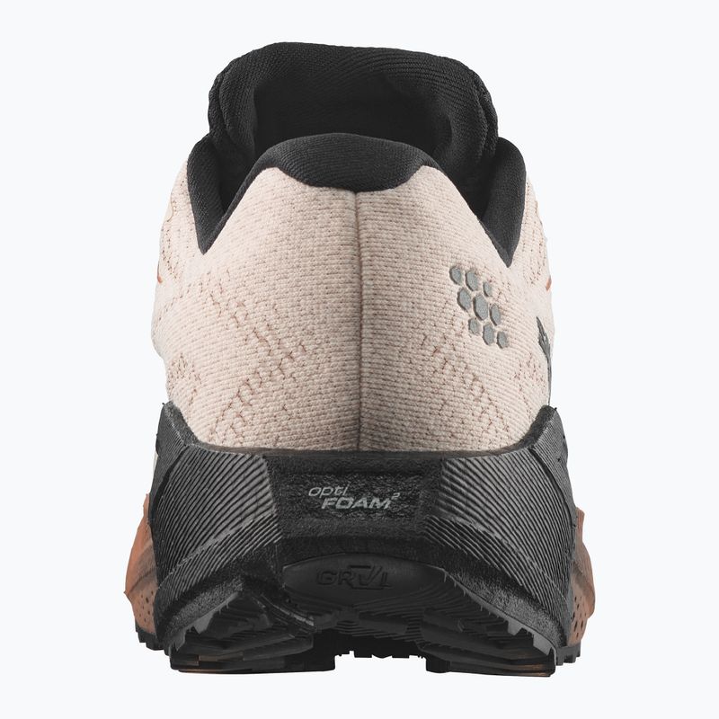Кросівки для бігу чоловічі Salomon Aero Blaze 4 GRVL GTX vanilla ice/black 2