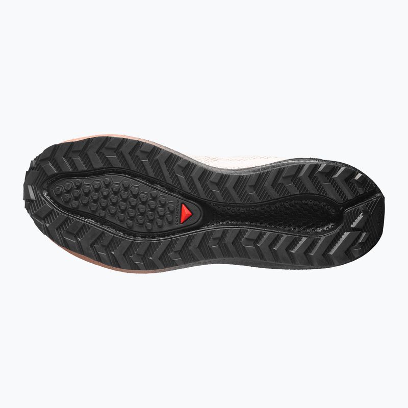 Кросівки для бігу чоловічі Salomon Aero Blaze 4 GRVL GTX vanilla ice/black 4