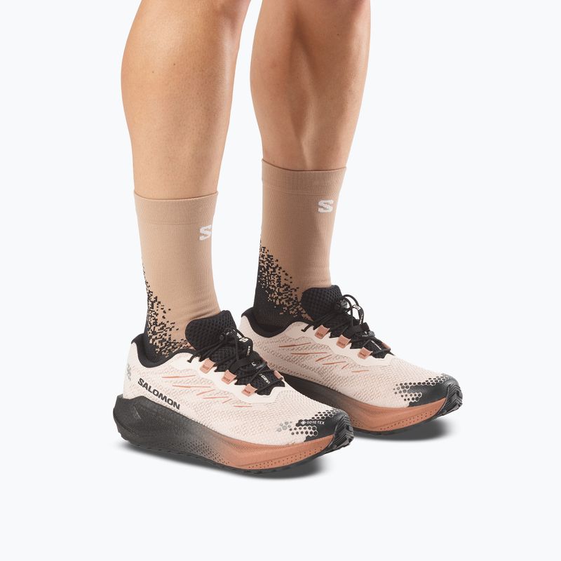 Кросівки для бігу чоловічі Salomon Aero Blaze 4 GRVL GTX vanilla ice/black 5