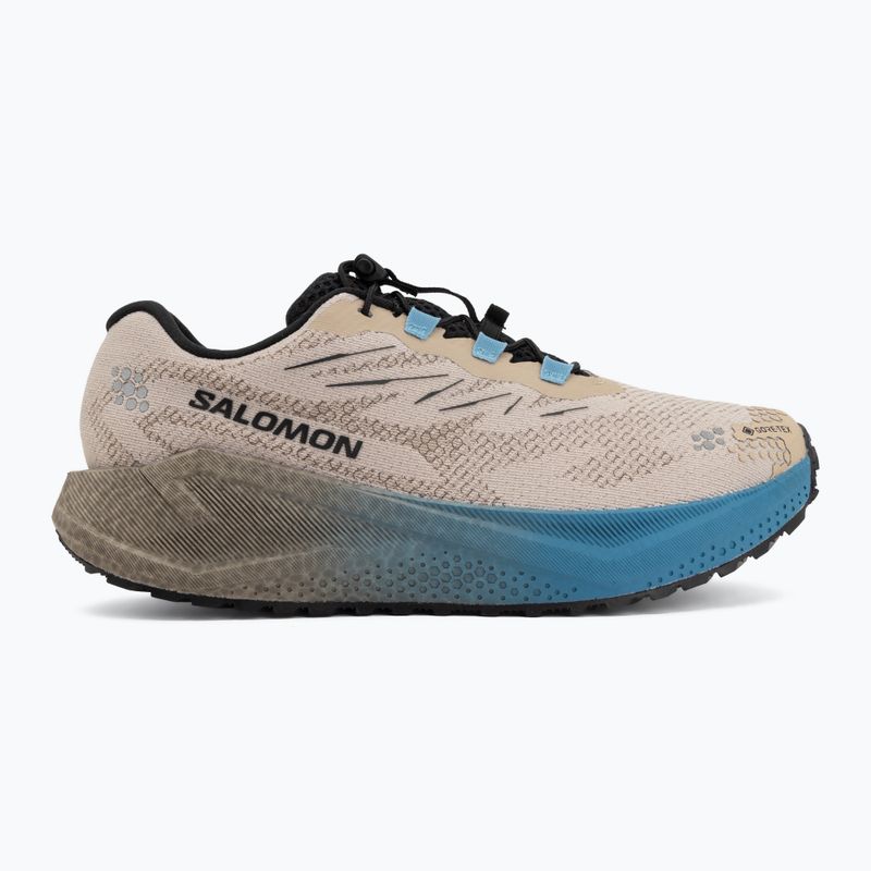 Кросівки для бігу чоловічі Salomon Aero Blaze 4 GRVL GTX oxford tan/black 2