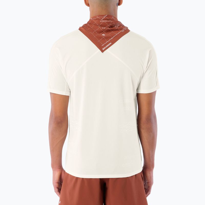 Футболка для бігу чоловіча Salomon Sense Aero GFX Tee SS whisper white/raind day/bright white 2