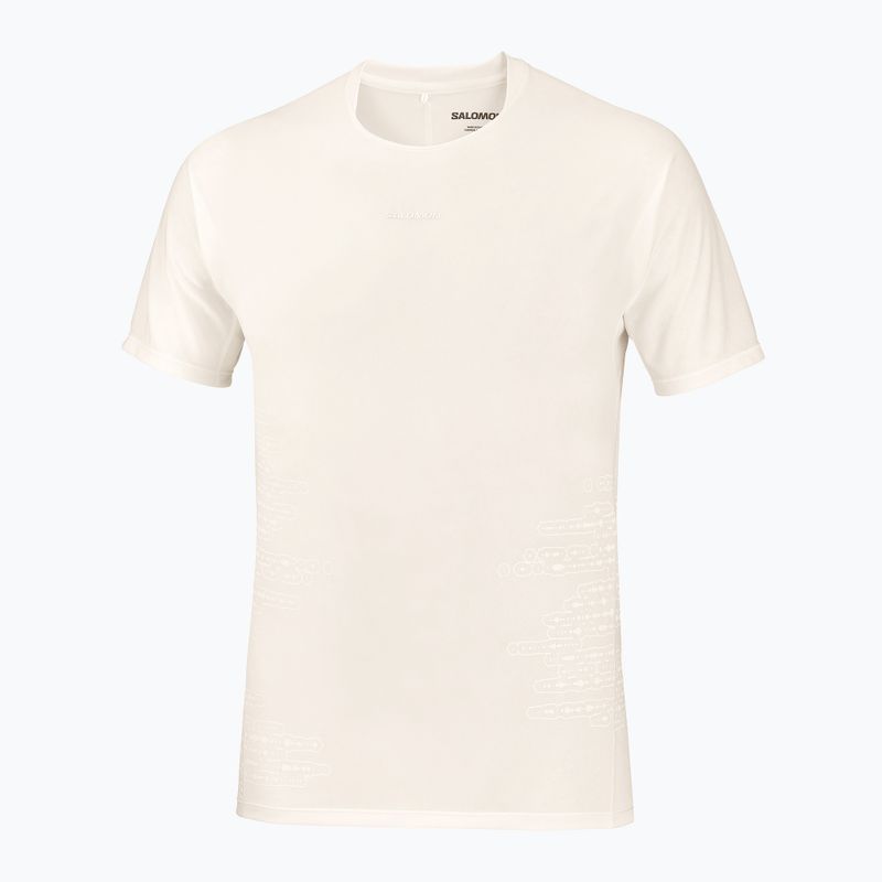 Футболка для бігу чоловіча Salomon Sense Aero GFX Tee SS whisper white/raind day/bright white 5