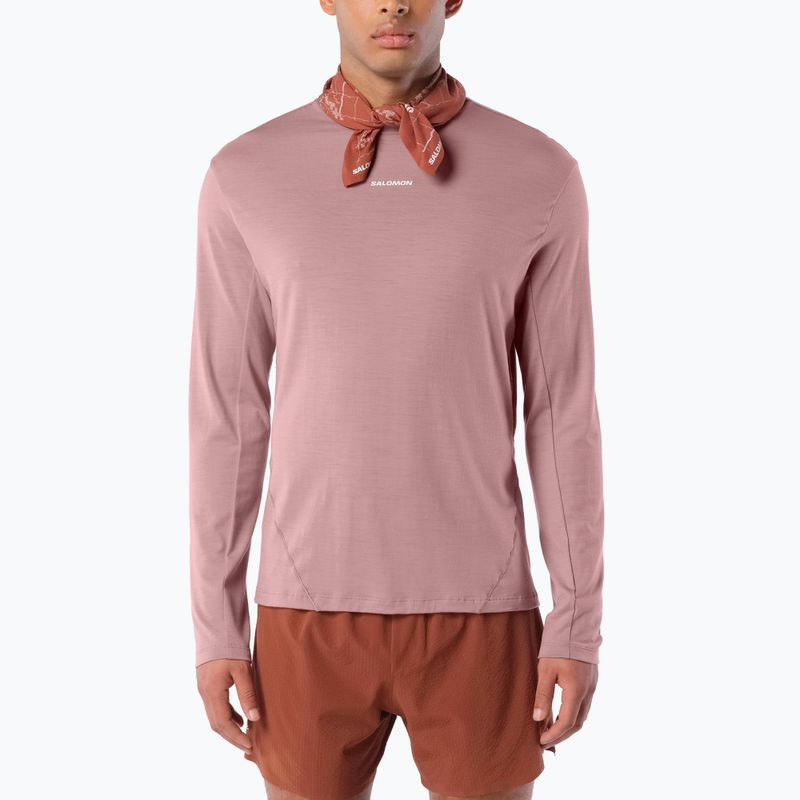 Лонгслів для бігу чоловічий Salomon Sense Merino Tee LS antler