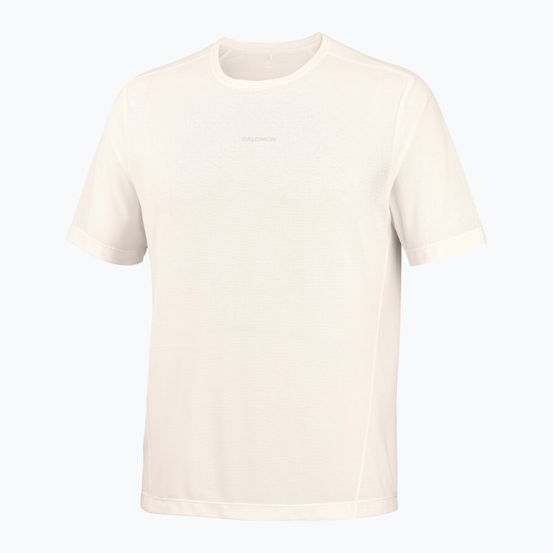 Футболка для бігу чоловіча Salomon Shakeout Core GFX SS Tee whisper white/pink frosting 5