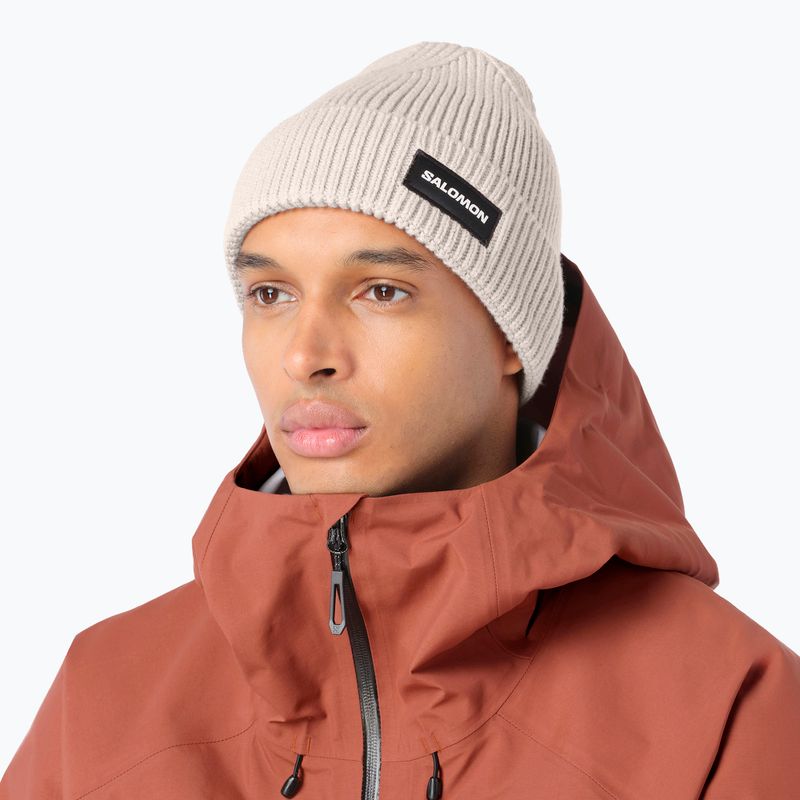 Шапка зимова Salomon Classic silver cloud 2