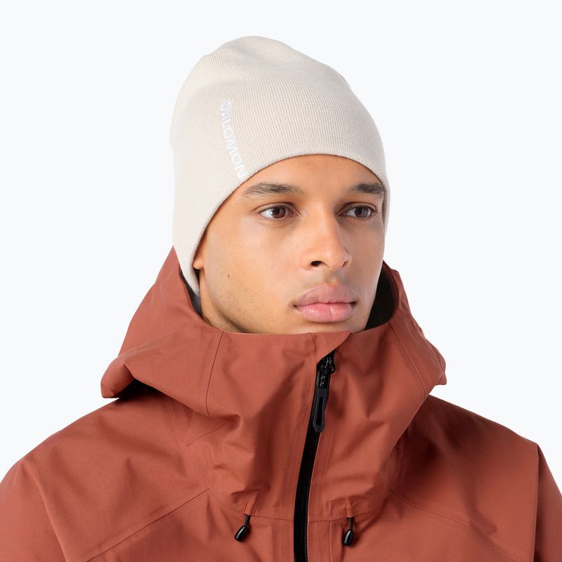 Шапка зимова Salomon Graphic silver cloud 2