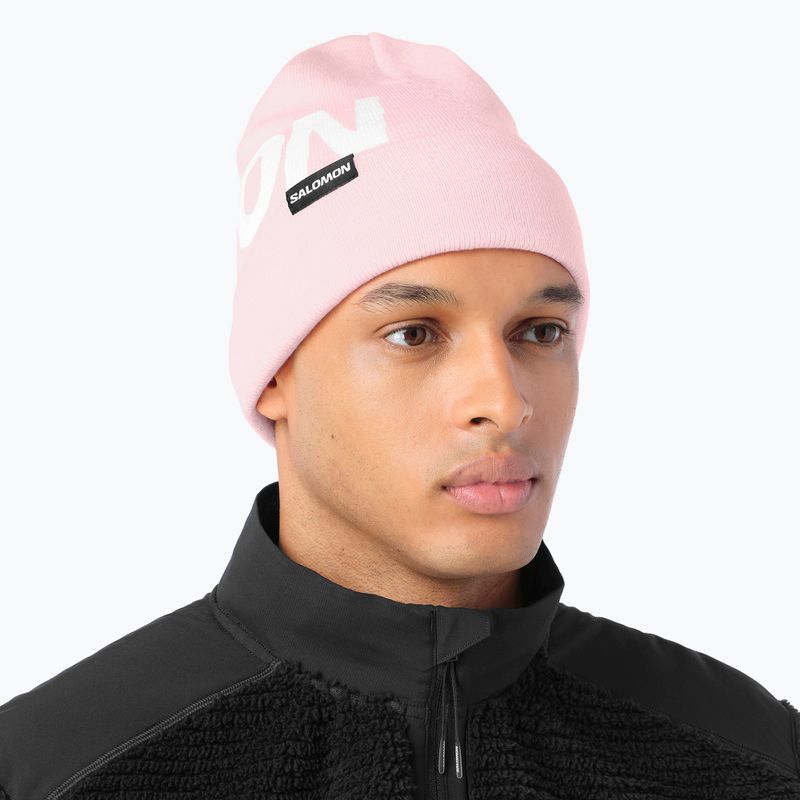 Шапка зимова Salomon Hermitage icy pink 2