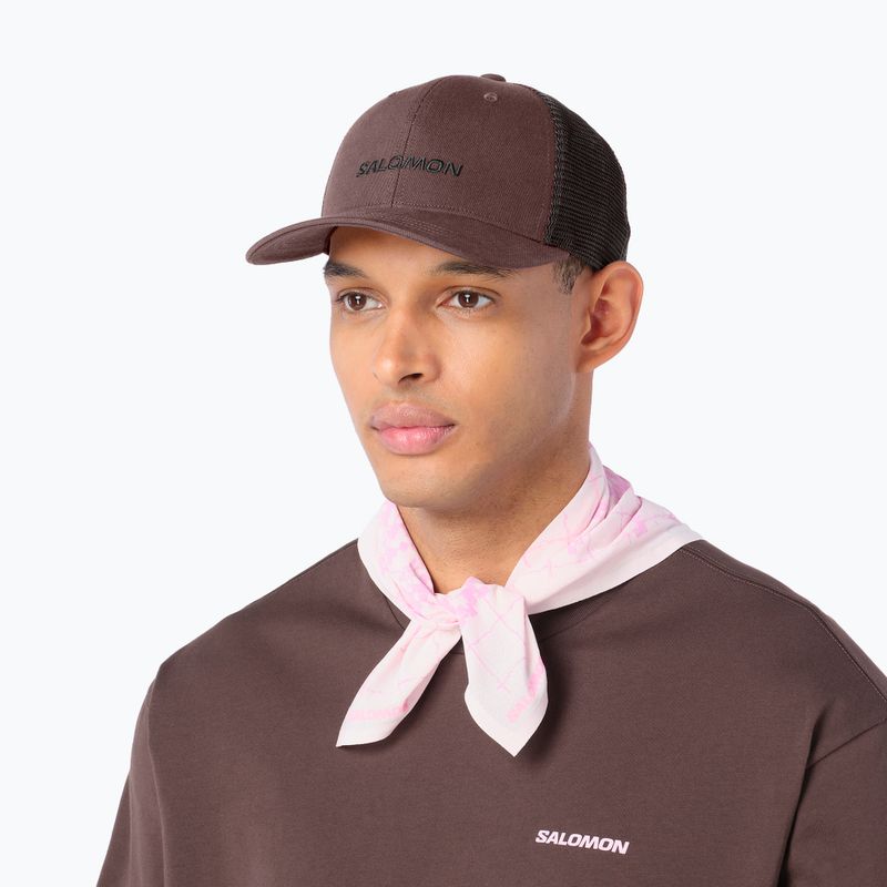 Кепка Salomon Logo Trucker coffee bean 2