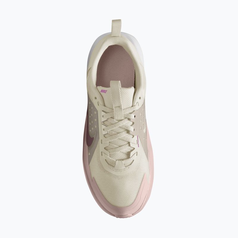 Кросівки дитячі Nike Sonic Fly phantom/cream ii/silt red/tattoo 6