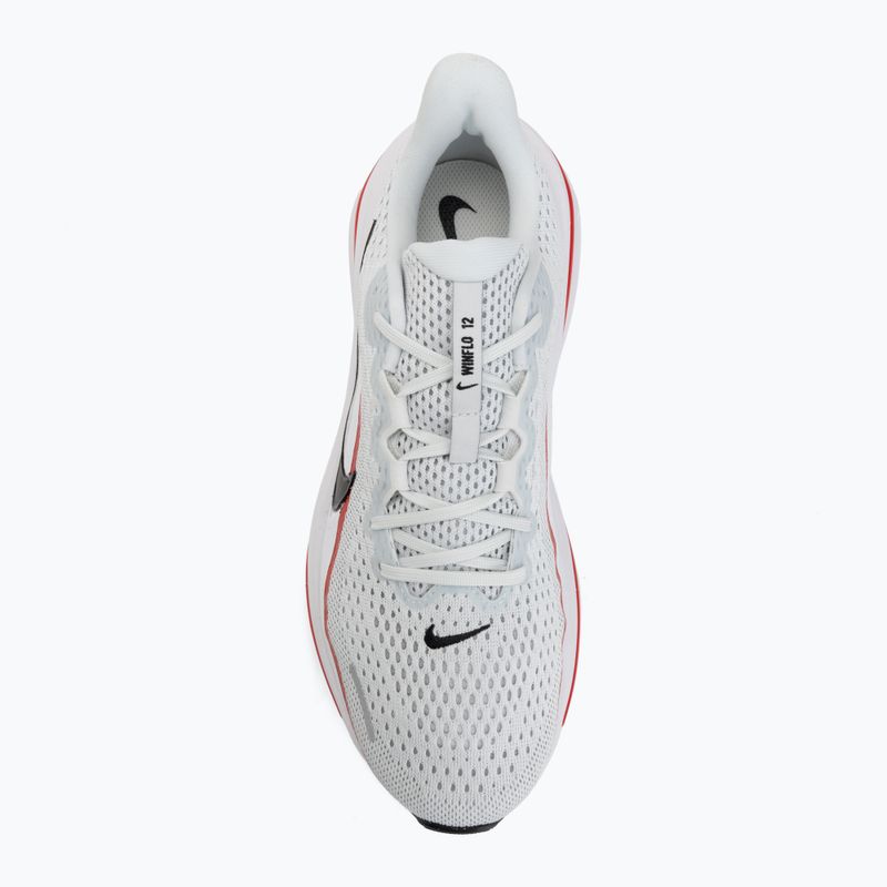 Кросівки для бігу чоловічі Nike Winflo 12 off white/white/wolf grey/black 5