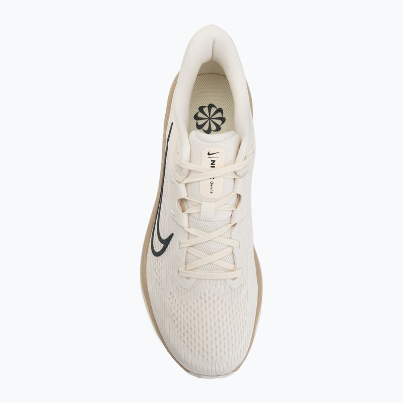 Кросівки для бігу чоловічі Nike Quest 6 pale Iiory/linen/sanddrift/black spruce 5