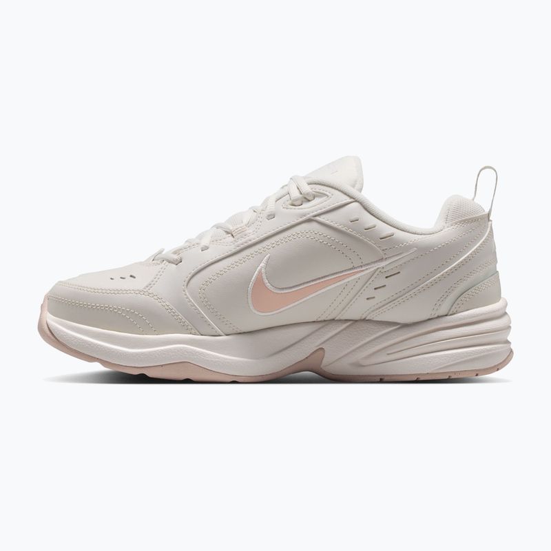 Кросівки для тренувань чоловічі Nike Air Monarch IV light bone/spruce aura/sanddrift 2