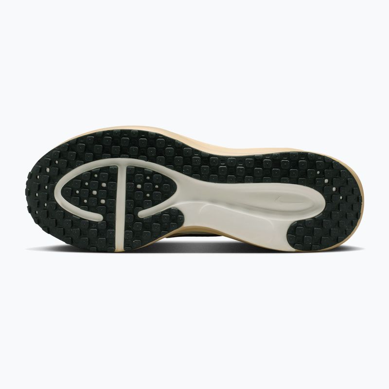 Кросівки для бігу чоловічі Nike Revolution 8 EasyOn pale ivory/sail/linen/black spruce 2