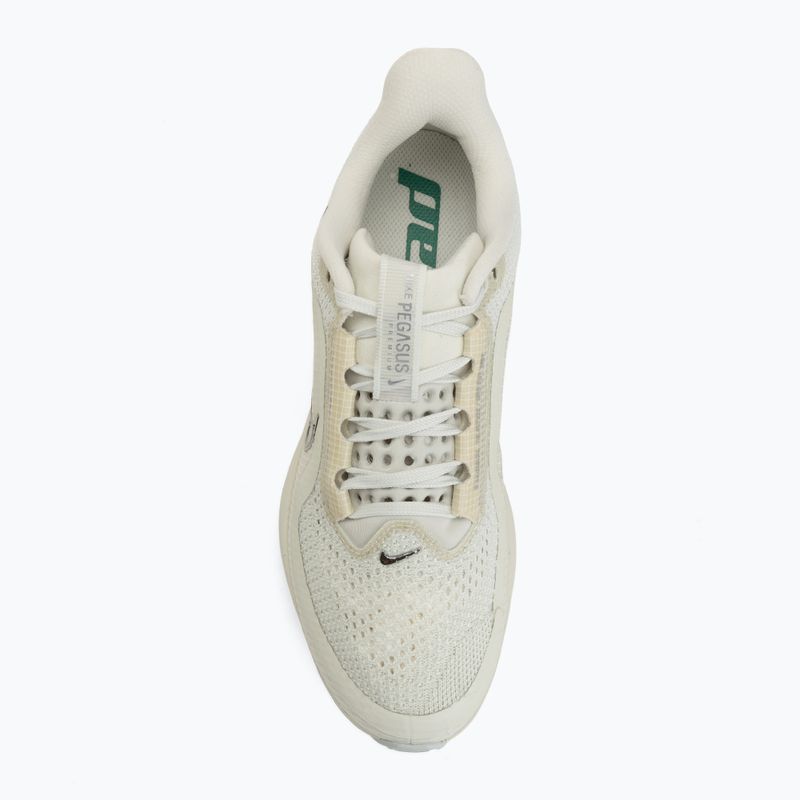 Кросівки для бігу жіночі Nike Pegasus Premium sea glass/malachite/metallic silver 5