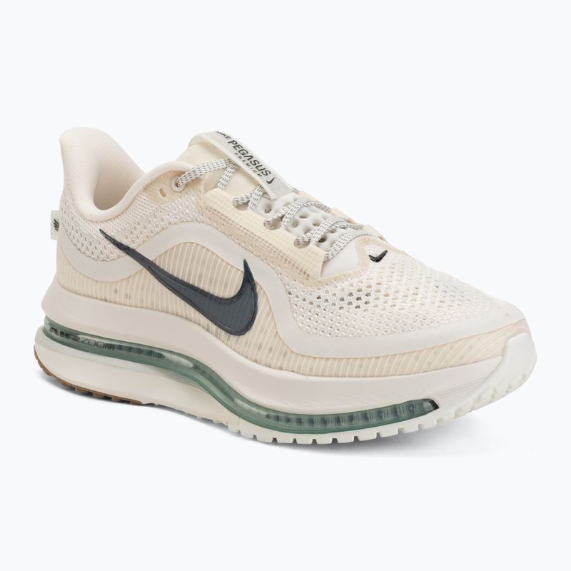 Кросівки для бігу чоловічі Nike Pegasus Premium Pale ivory/jade horizon/black spruce