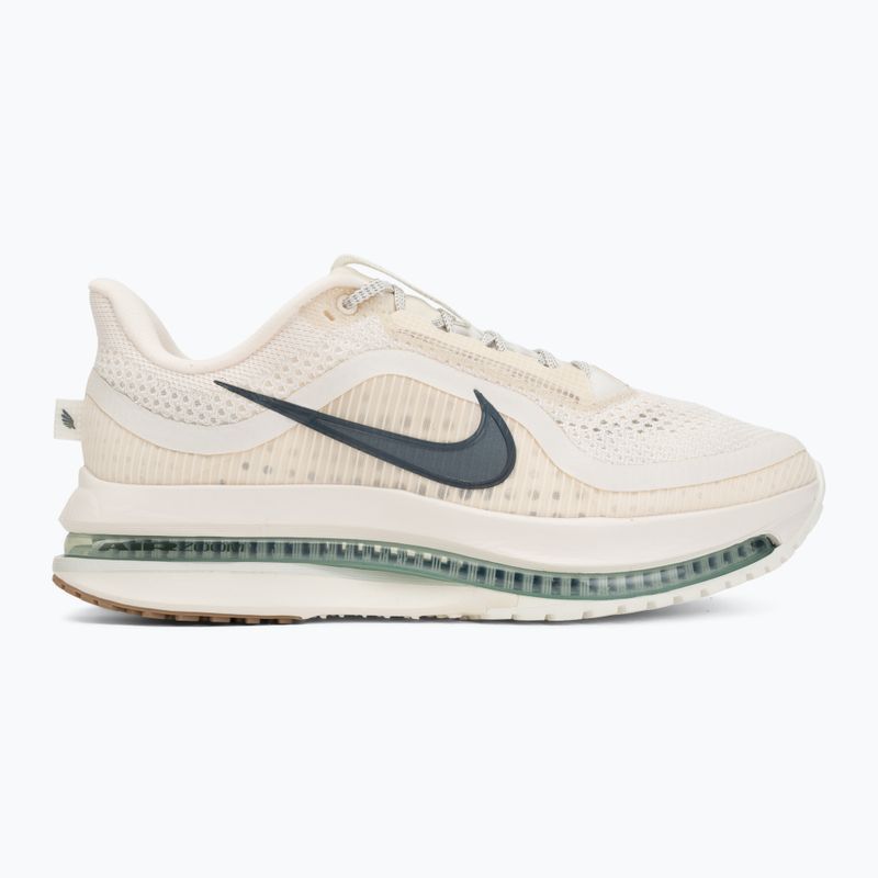 Кросівки для бігу чоловічі Nike Pegasus Premium Pale ivory/jade horizon/black spruce 2