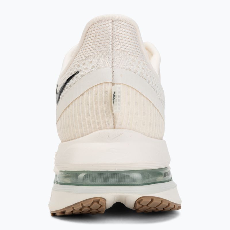Кросівки для бігу чоловічі Nike Pegasus Premium Pale ivory/jade horizon/black spruce 6