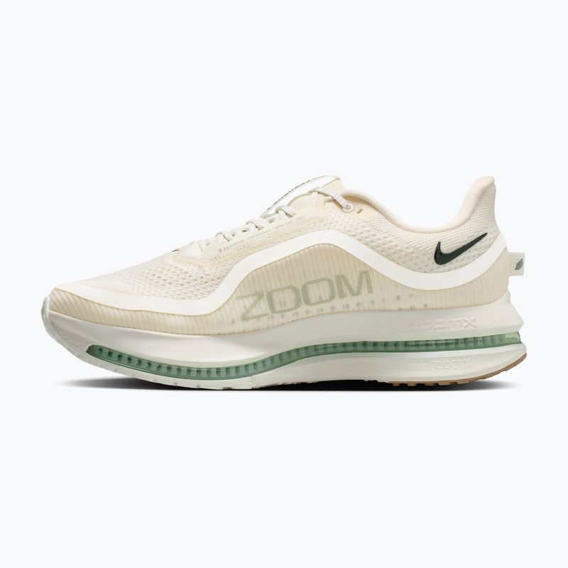 Кросівки для бігу чоловічі Nike Pegasus Premium Pale ivory/jade horizon/black spruce 2