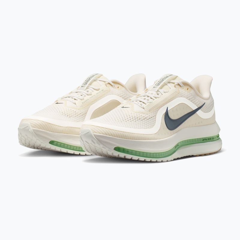 Кросівки для бігу чоловічі Nike Pegasus Premium Pale ivory/jade horizon/black spruce 3
