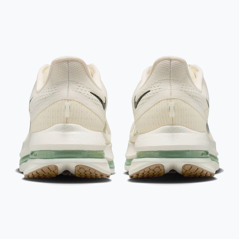 Кросівки для бігу чоловічі Nike Pegasus Premium Pale ivory/jade horizon/black spruce 4