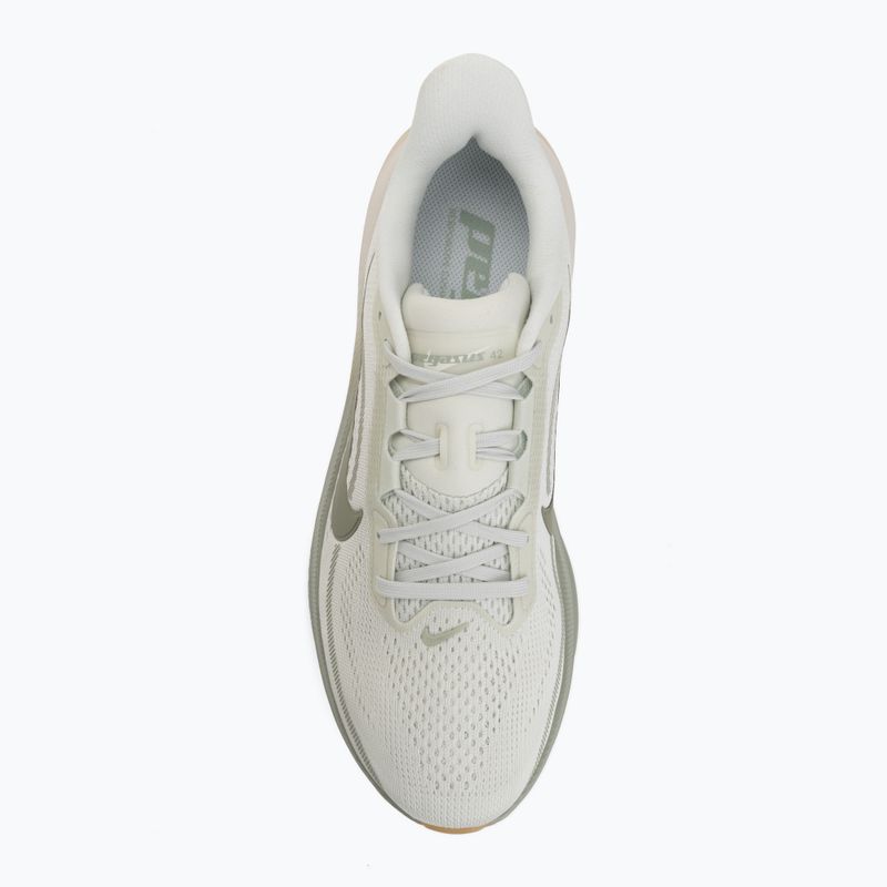 Кросівки для бігу чоловічі Nike Pegasus 42 spruce aura/pale ivory/jade horizon 5