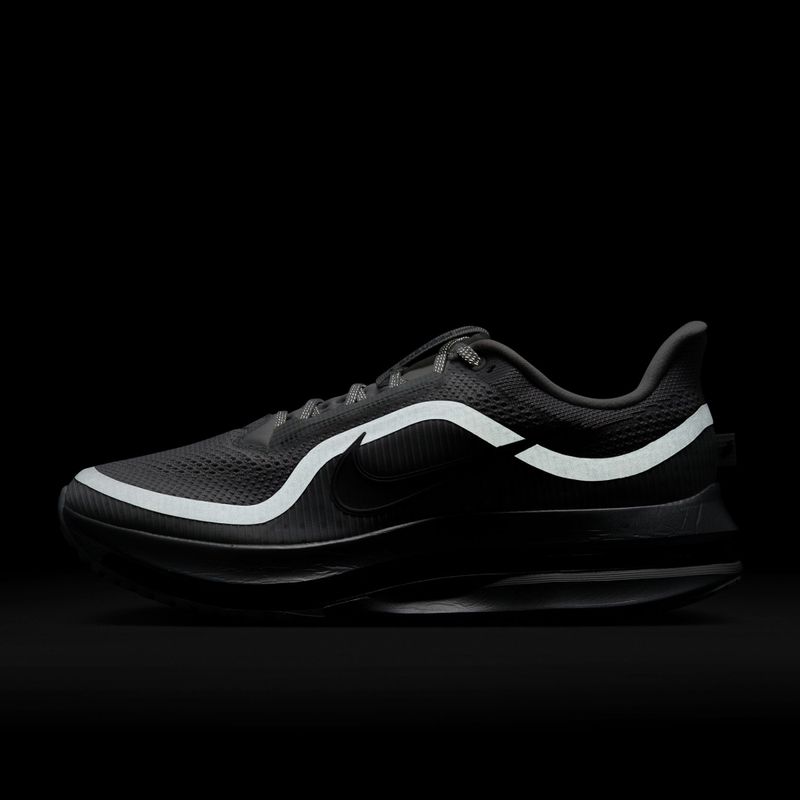 Кросівки для бігу чоловічі Nike Pegasus Premium photon dust/metallic Silver/black 5