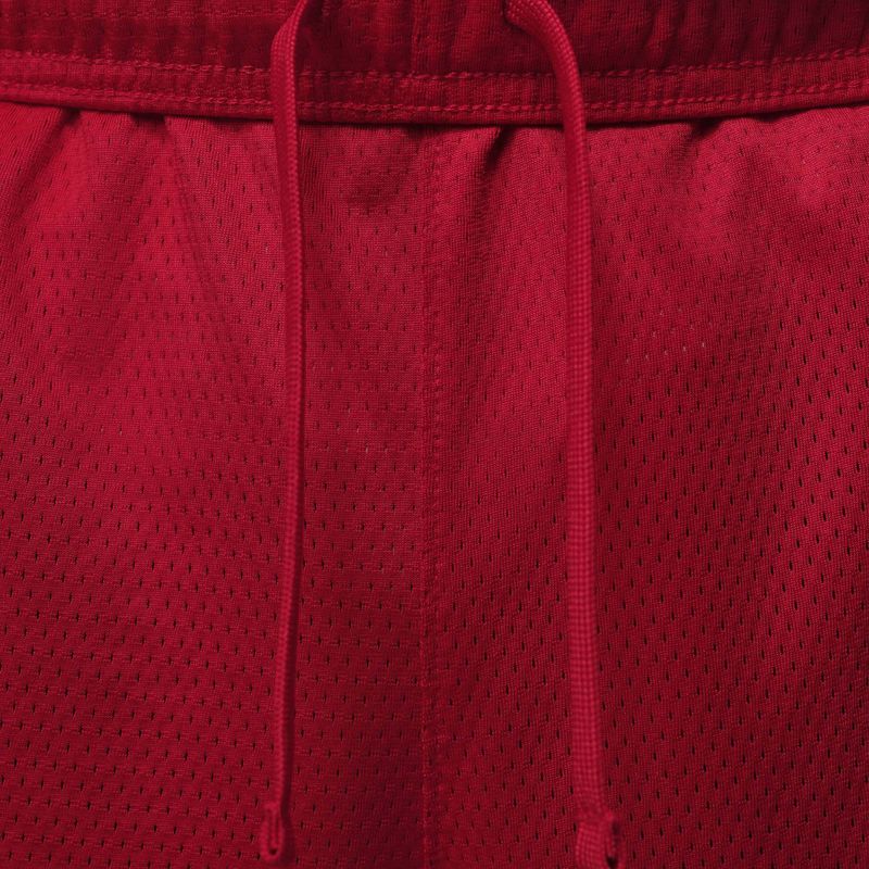 Шорти чоловічі Jordan Sport Essentials Dri-Fit gym red 5