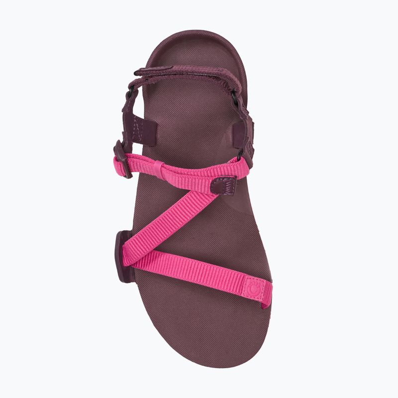 Сандалі barefoot жіночі Xero Shoes Z-Trail EV fuchsia purple 5