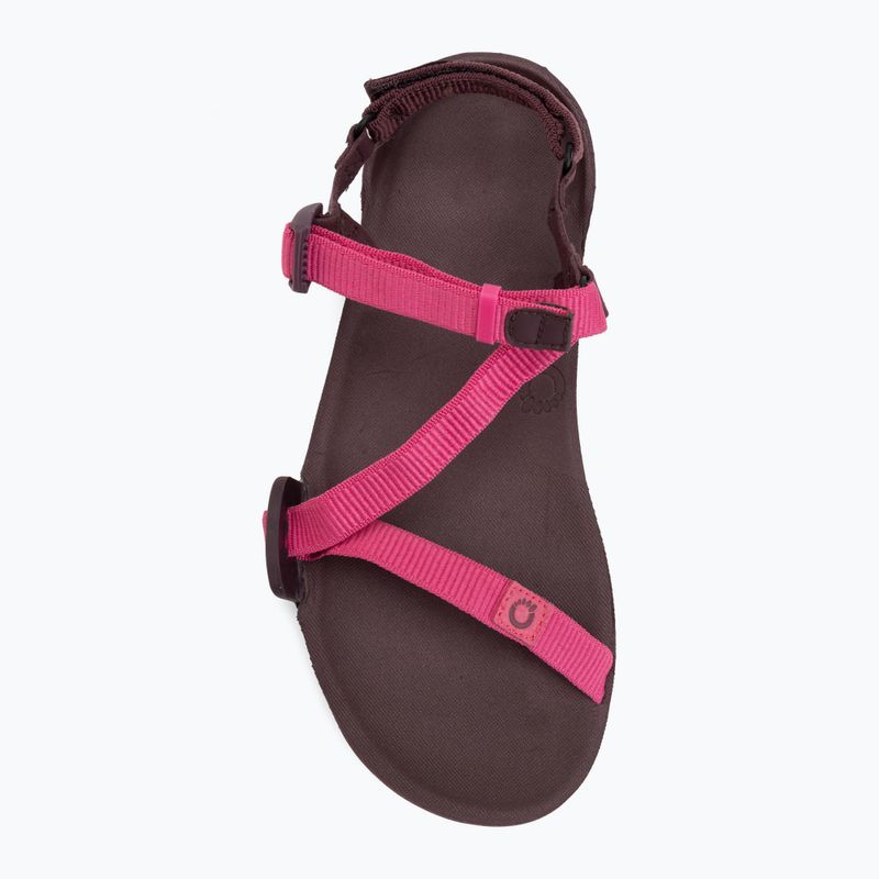 Сандалі barefoot жіночі Xero Shoes Z-Trail EV fuchsia purple 5