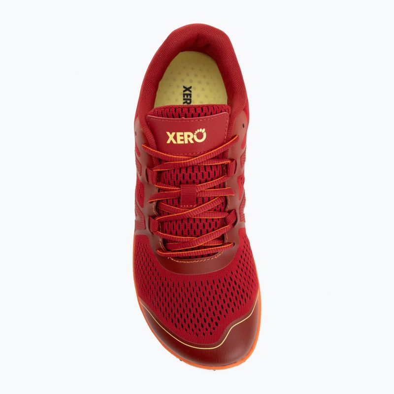 Кросівки barefoot чоловічі Xero Shoes HFS II salsa red 5