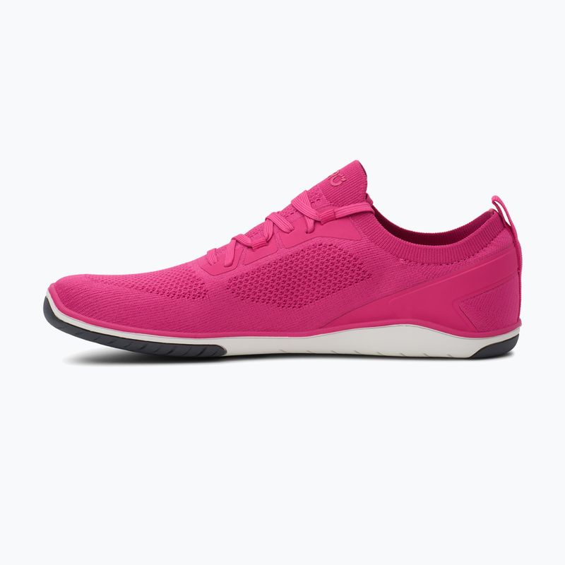 Жіноче взуття barefoot Xero Shoes Nexus Knit fuchsia purple 3