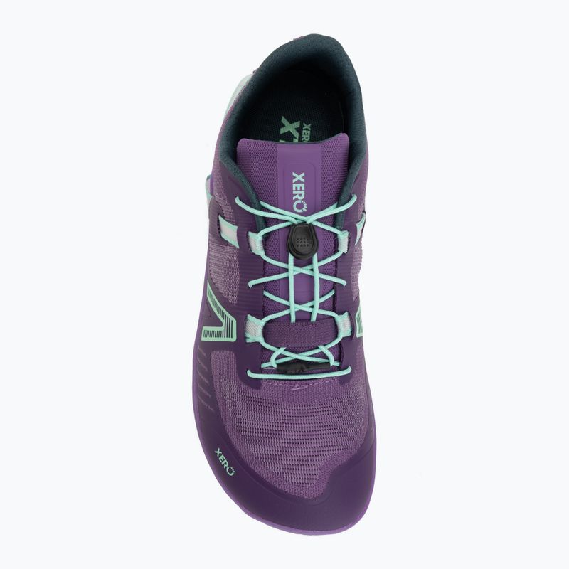 Кросівки barefoot жіночі Xero Shoes XT Max vivid purple 5