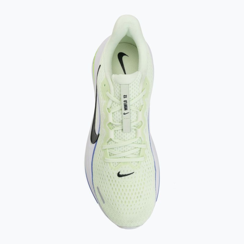 Кросівки для бігу чоловічі Nike Winflo 12 volt tint/white/sapphire/black spruce 5