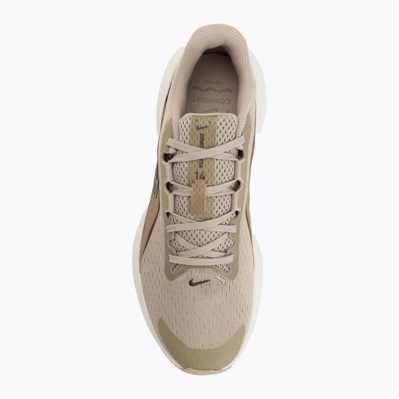 Кросівки для бігу чоловічі Nike Downshifter 14 desert khaki/sail/filbert/dark hazel 5