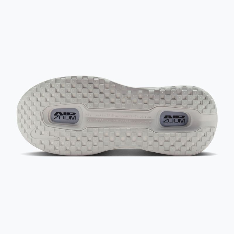 Кросівки для бігу чоловічі Nike Vomero Premium off white/grey fog/dark obsidian 4