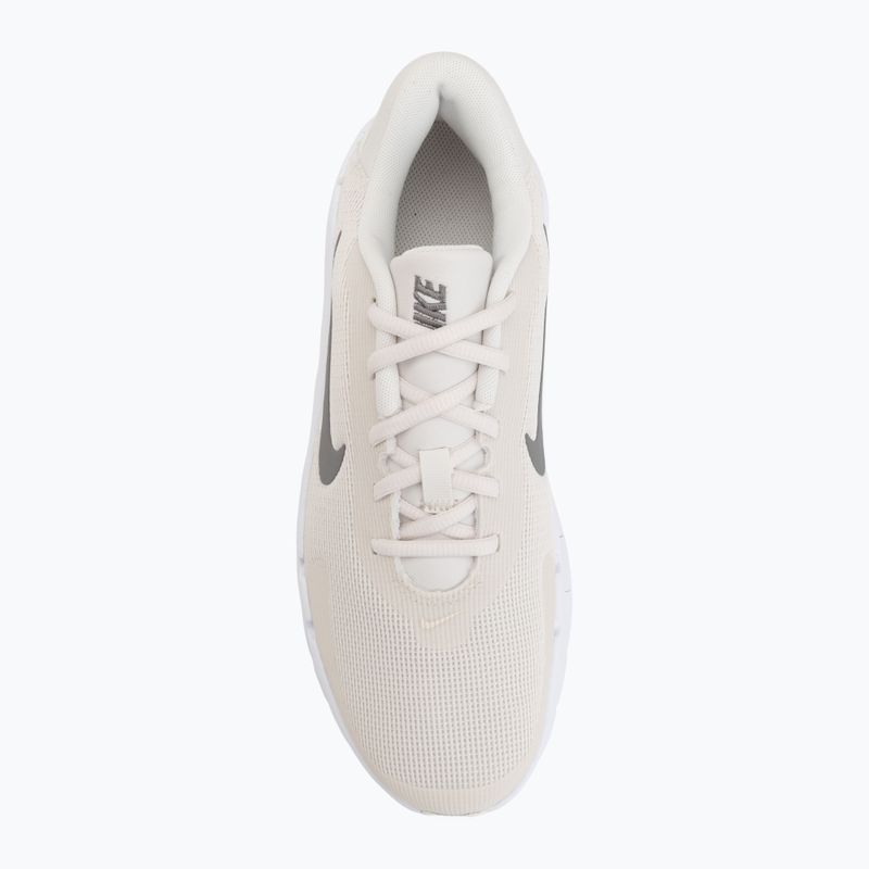 Кросівки для тренувань чоловічі Nike Flex Train phantom/white/sail/pencil point 5