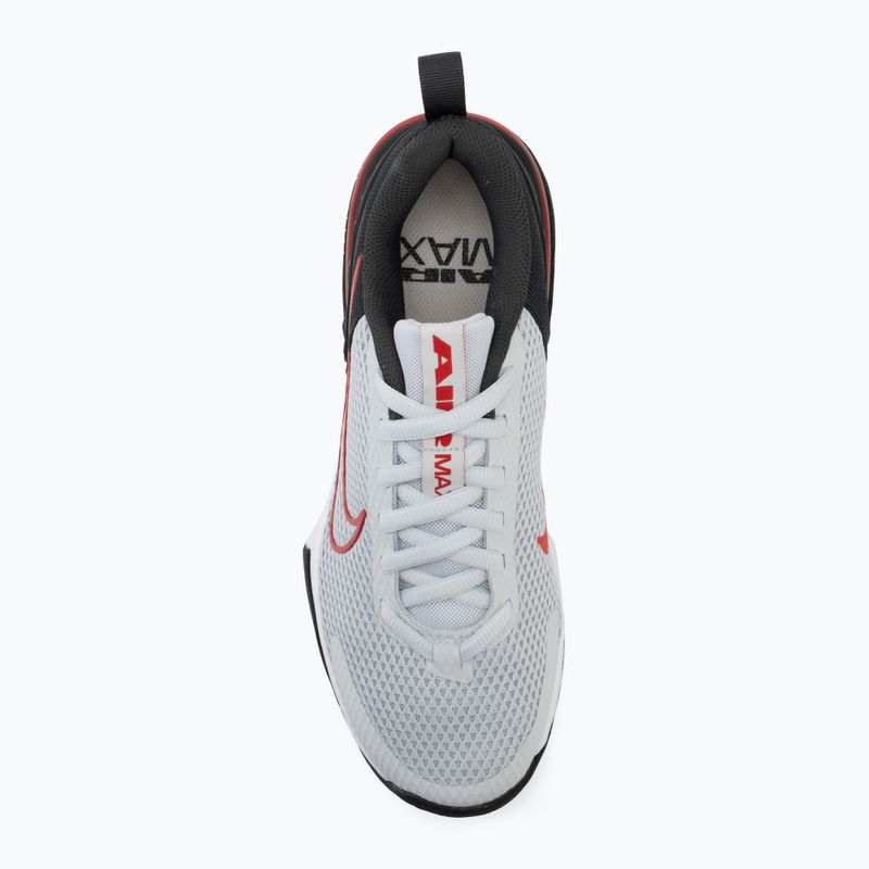 Кросівки для тренувань чоловічі Nike Air Max Alpha Trainer 6 pure platinum/black/ white/university red 5