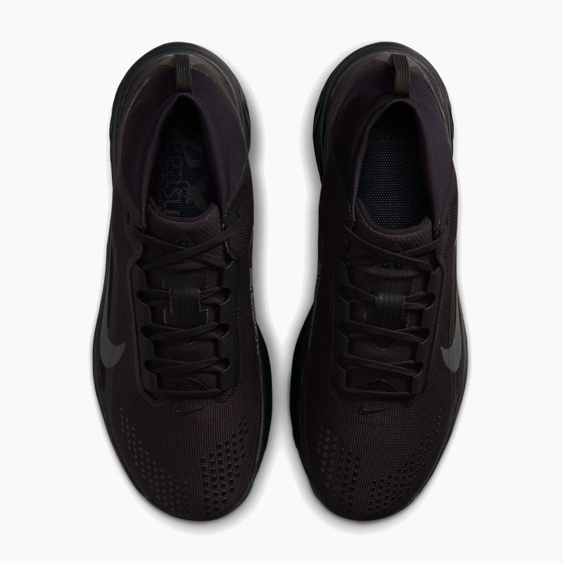 Кросівки для бігу чоловічі Nike ACG Pegasus Trail GORE-TEX Black/Summit White/Anthracite 5