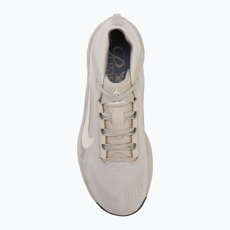Кросівки для бігу чоловічі Nike ACG Pegasus Trail GORE-TEX Cream Ii/Light Orewood Brown 5