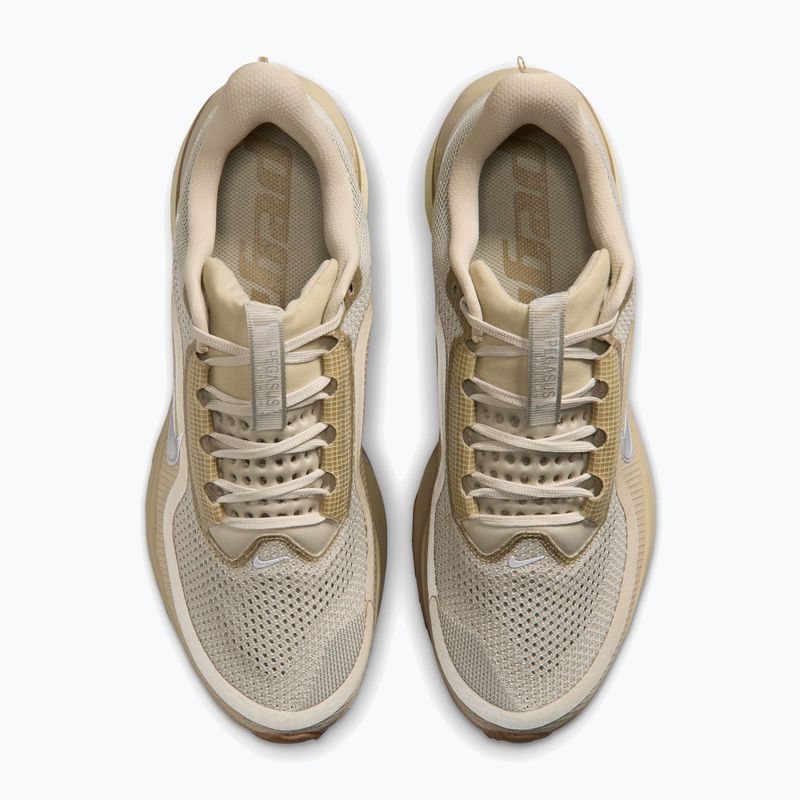 Кросівки для бігу чоловічі Nike Pegasus Premium desert khaki/light khaki/metallic silver 4