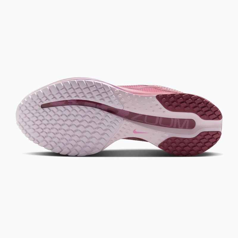 Кросівки для бігу жіночі Nike Pegasus Premium pink smoke/light magenta/pink smoke 4