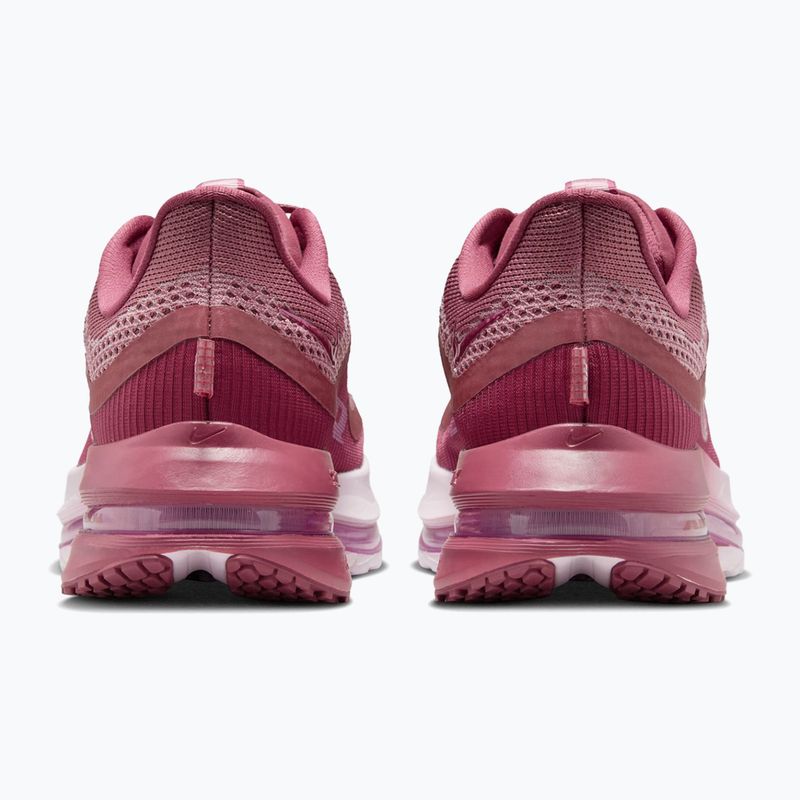 Кросівки для бігу жіночі Nike Pegasus Premium pink smoke/light magenta/pink smoke 6