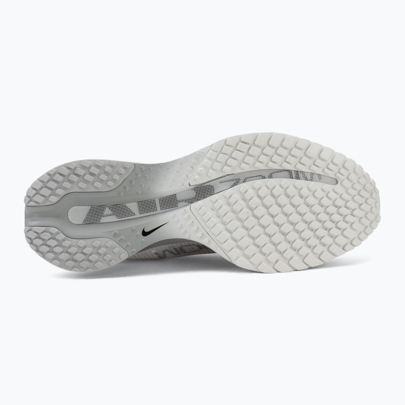 Кросівки для бігу жіночі Nike Pegasus Premium summit white/grey fog/metallic silver 4