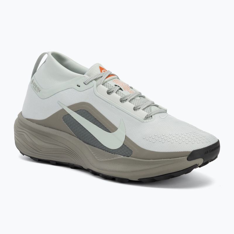 Кросівки для бігу чоловічі Nike ACG Pegasus Trail GORE-TEX Light Silver/Light Army/Light Silver