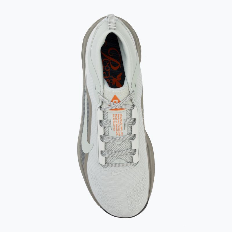 Кросівки для бігу чоловічі Nike ACG Pegasus Trail GORE-TEX Light Silver/Light Army/Light Silver 5
